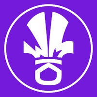 Wonder Mint logo - Similar company to Live Spark