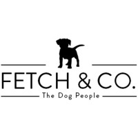 Fetch & Co. logo - Similar company to Dreamwork Consulting