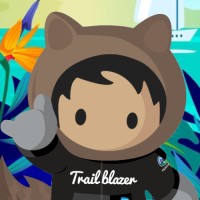 Hawaii Salesforce Admin Group logo - Similar company to Terranox