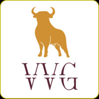 Vaccaro Ventures Group LLC logo - Similar company to Thoughtai