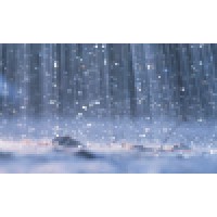 Storm Savvy