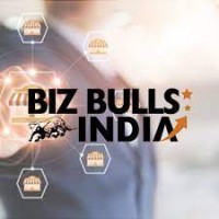 BIZ BULLS FRANCHISEE logo - Similar company to Elton Marketing India Pvt. Ltd.