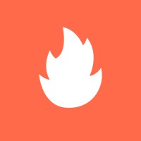 Torch Game Studio logo - Similar company to Roog Game Studio