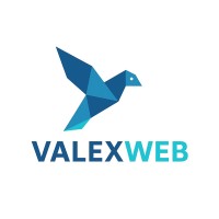 ValexWeb logo - Similar company to Sisi It Solutions Company