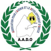 AADO logo - Similar company to Boost Coach Global
