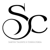 Santos & Talento Consultoria logo - Similar company to Qsolutions