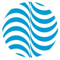 Virax Borghi Italia S.r.l.