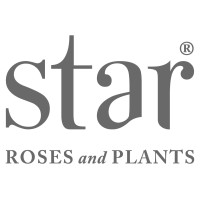 Star® Roses and Plants logo - Similar company to Willoway Nurseries, Inc.
