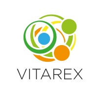 VITAREX STÚDIÓ Kft. logo - Similar company to Itea Office
