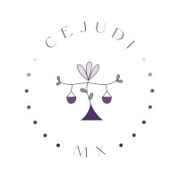 Centro por la Justicia, Democracia e Igualdad - CEJUDI logo - Similar company to Centro De Derechos Humanos Miguel Agustín Pro Juárez A.C