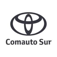 Comauto Sur logo - Similar company to Comautotrans