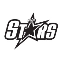 SS STAR MARINE logo - Similar company to Ship Automation Llp