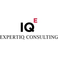 ExpertIQ Consulting, S.C. logo - Similar company to Teliko Solutions