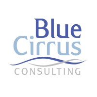 Blue Cirrus Consulting logo - Similar company to Dot Line