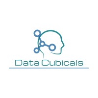 Data Cubicals logo - Similar company to Data View Systems