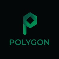 Polygon EV logo - Similar company to Lytzone Solutions Llc