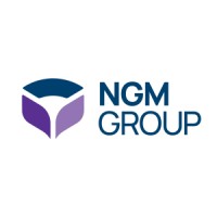 NGM Group logo - Similar company to Digizoo