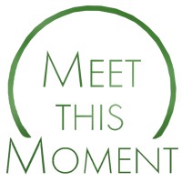 Meet This Moment logo - Similar company to St Biologicals