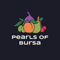 Pearls of Bursa logo - Similar company to Sky Tower Bursa