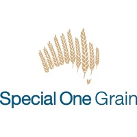 Special One Grain