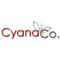 Cyana Co IT Consulting logo - Similar company to Cyana Technical Services Llc