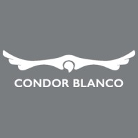 Condor Blanco Internacional logo - Similar company to Coaching Express Cóndor Blanco