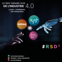 RSD3 : RIST + SEPAG + DDD logo - Similar company to Ccsit