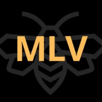 MedTech Leading Voice logo - Similar company to Arazy Group Consultants Inc.