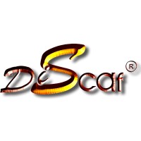 DISCAF SPAIN logo - Similar company to Discaf Llc
