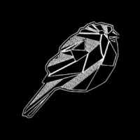 Black Robin Exclusive Tours and Transfers logo - Similar company to Travelglobe