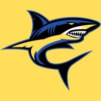 Black shark seo logo - Similar company to Netspirex