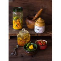 Gujarati Spices & Food logo - Similar company to Thakar Spices