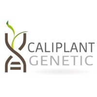 Caliplant Genetic logo - Similar company to Originalius