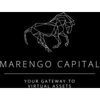 Marengo Capital Limited logo - Similar company to Dwf Options