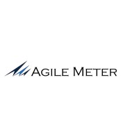 Agile Meter logo - Similar company to Mastering And Innovation
