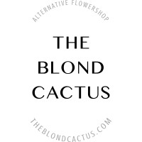 The Blond Cactus logo - Similar company to Maison Labiche
