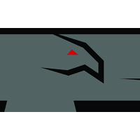 Raven Rock Networks, Inc