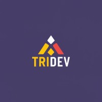 Tridev Technologies logo - Similar company to Sanpri Technologies