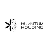KUANTUM HOLDING A.S. logo - Similar company to Rise X Technology