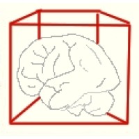 Brainbox Solutions logo