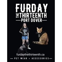 Furday The Thirteenth logo - Similar company to Railfire Consulting Inc.