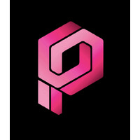 People Pioneers logo - Similar company to Revolution Workforce