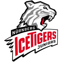 Nürnberg Ice Tigers Juniors logo - Similar company to Die Projektscheune