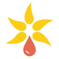 Rédiab Ylang 976 - Réseau Diabète Mayotte logo - Similar company to Medetram - Spsti Mayotte