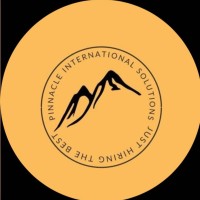 Pinnacle International solutions logo - Similar company to Hexogon Group Of Companies