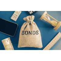 Surety Bonds & Bond Titles logo - Similar company to Surety Bonds, Llc