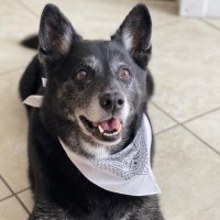 Buy Fire Alarm Parts, Inc. logo - Similar company to Fire Security Electronics & Communications, Inc.