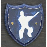 Edmonton & District League Cricket