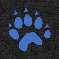 Wolverine Radar logo - Similar company to Radar Applications Incorporated