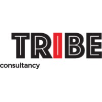 Tribe Consultancy logo - Similar company to Tribe Consults